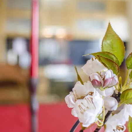 וילה Panoramica אסטוי